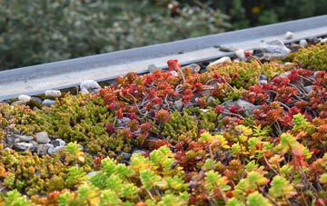 the cost of Ticket Wood green roof installation