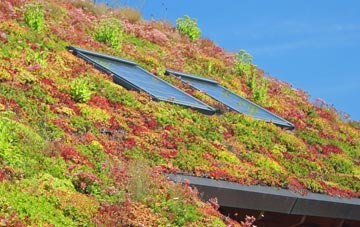 Ticket Wood living roof systems