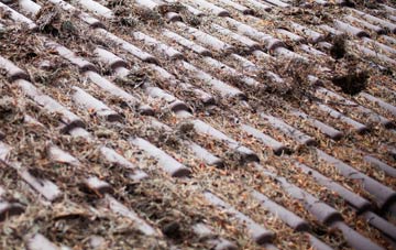 Ticket Wood roof cleaning companies